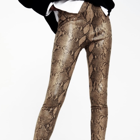 Zara Animal Print Coated Leggings Snake 